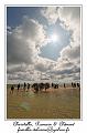 IMG_3984_RD