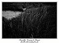 IMG_3991_RD