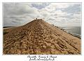 IMG_3995_RD