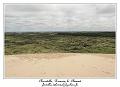 IMG_4010_RD