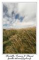 IMG_4013_RD