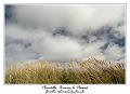 IMG_4014_RD