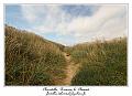 IMG_4015_RD
