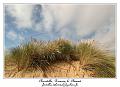 IMG_4018_RD
