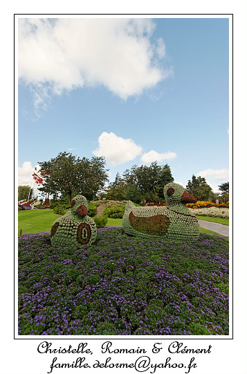 IMG_4066_RD.jpg
