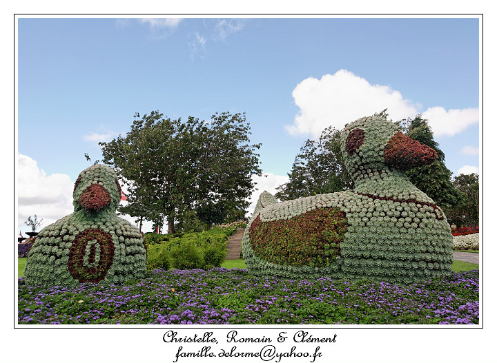 IMG_4068_RD.jpg