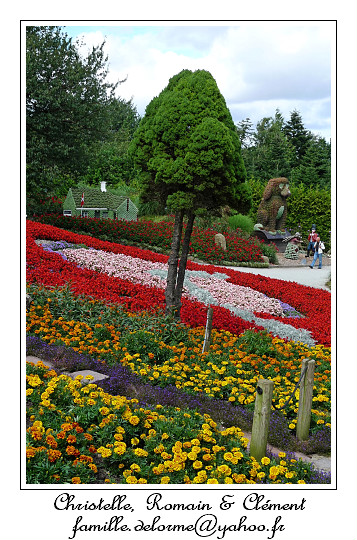 P1000747_RD.jpg