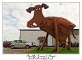 IMG_4023_RD
