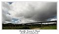 IMG_4029_RD