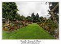 IMG_4032_RD