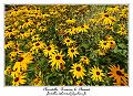 IMG_4034_RD