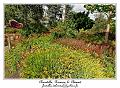 IMG_4036_RD
