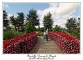 IMG_4039_RD