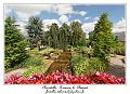 IMG_4040_RD