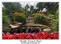 IMG_4041_RD