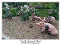 IMG_4046_RD