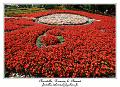 IMG_4049_RD