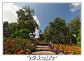 IMG_4052_RD