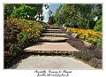 IMG_4053_RD