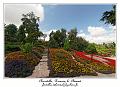 IMG_4055_RD