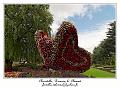 IMG_4065_RD