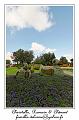 IMG_4066_RD