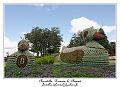 IMG_4068_RD