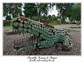 IMG_4071_RD