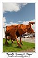 IMG_4077_RD