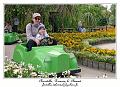 P1000724_RD