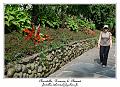 P1000742_RD