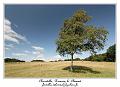 IMG_4084_RD