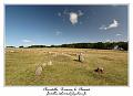 IMG_4085_RD