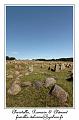 IMG_4087_RD