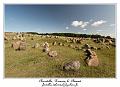 IMG_4089_RD