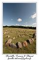 IMG_4091_RD