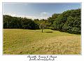 IMG_4092_RD