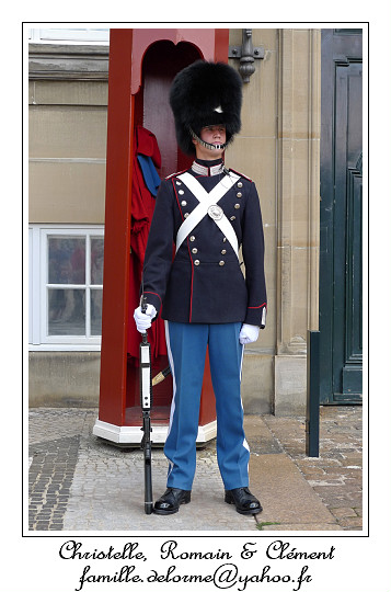 P1000832_RD.jpg