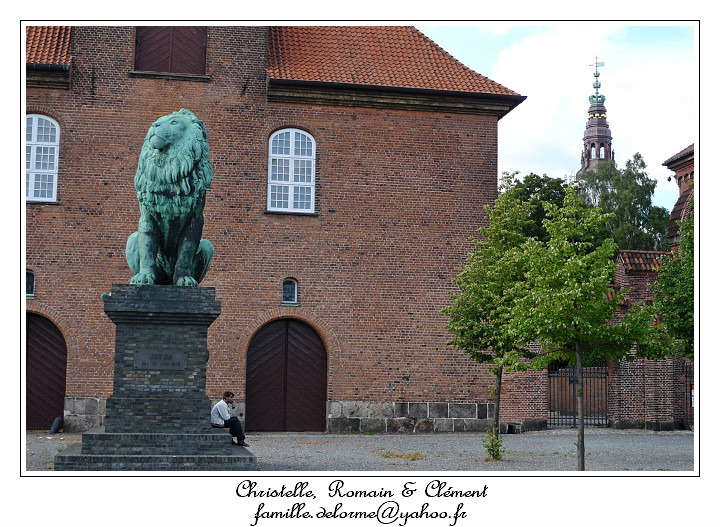 P1000884_RD.jpg