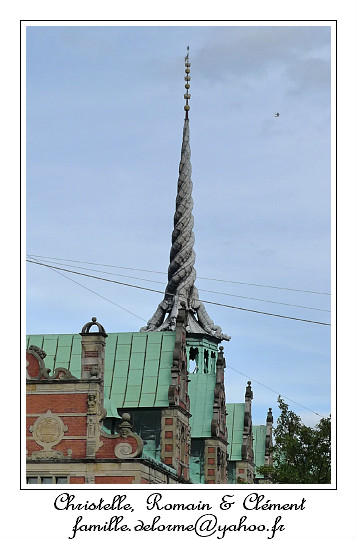 P1000890_RD.jpg