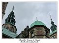 P1000820_RD