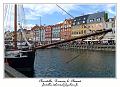 P1000857_RD
