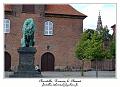 P1000884_RD