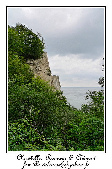 P1000915_RD.jpg