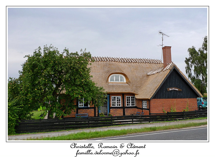 P1000962_RD.jpg