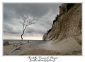 IMG_4148_RD