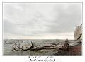 IMG_4159_RD