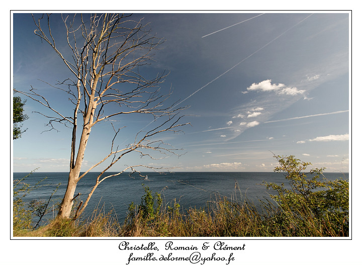 IMG_4184_RD.jpg