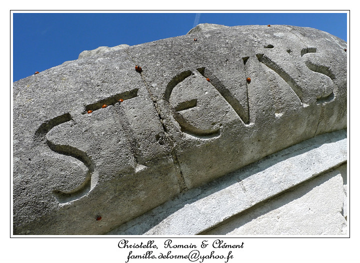 P1000995_RD.jpg - Stevns Klint