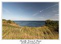 IMG_4183_RD